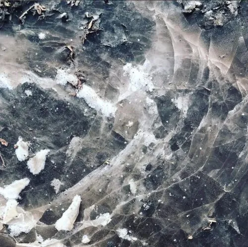 anything / everything icon