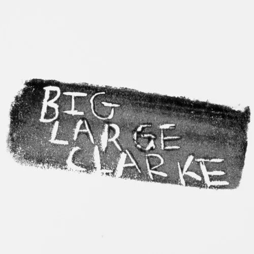 Big Large Clarke Labs icon