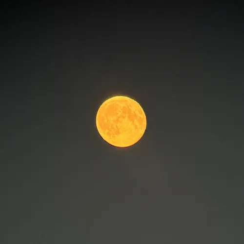 a learning utterance icon