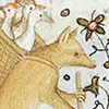 Sperantia icon