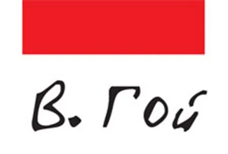 Владимир Гой icon