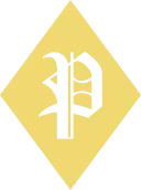 Pendragon Foundation icon
