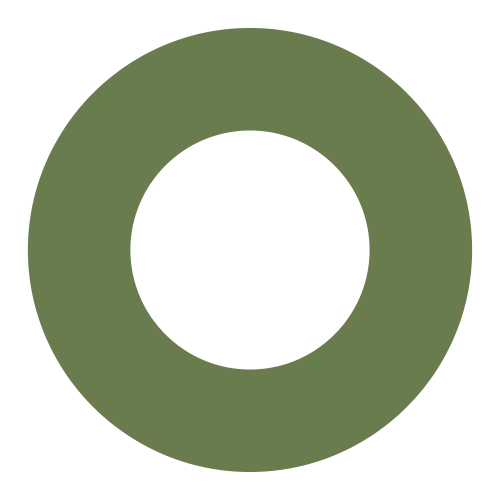 Chci žít offline icon