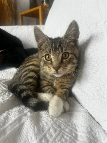 rileyslifeinablog icon