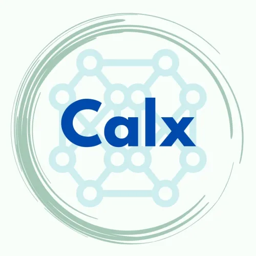 The Calx Institute icon
