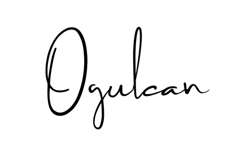 Ogulcan Ozyavuz | Venture Building icon