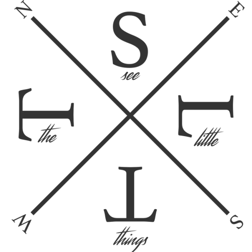 see the little things icon