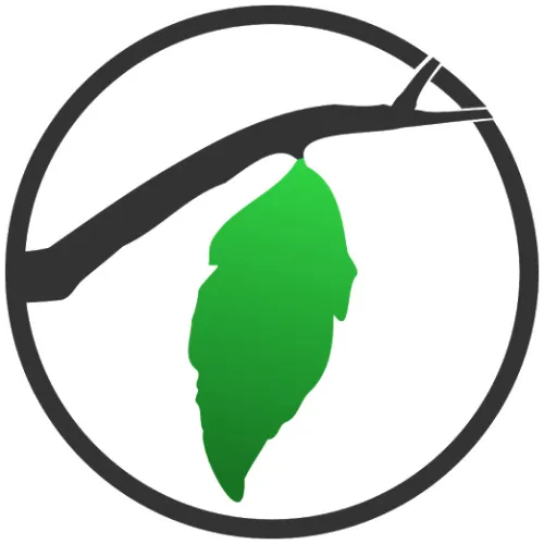 Nuwe Blare Homestead icon