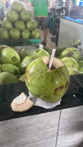 Jasmina in Brazil icon