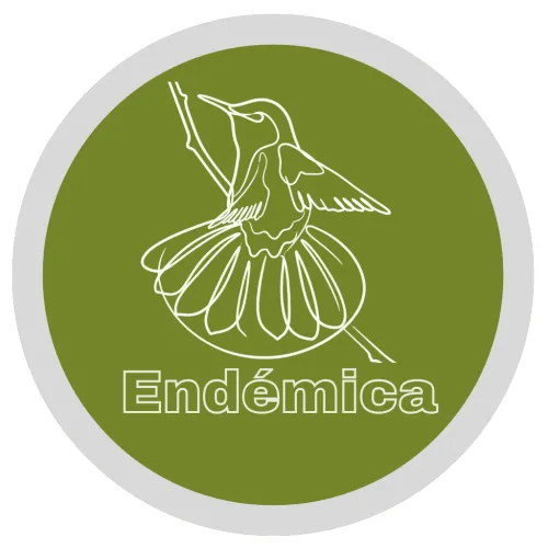 Revista Endémica icon