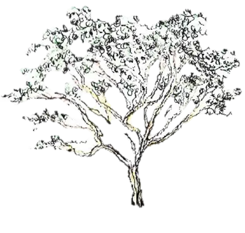 Apps, maps and snippets icon