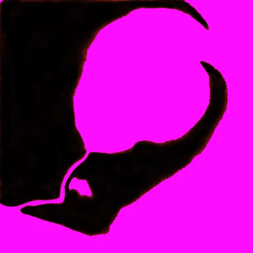 Contraluz icon