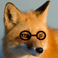 Foxy Scout icon
