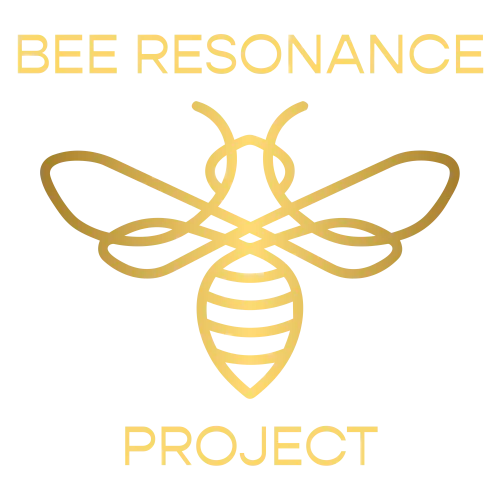 Bee Resonance Project icon