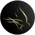 The Cirrus Invicta Journal icon