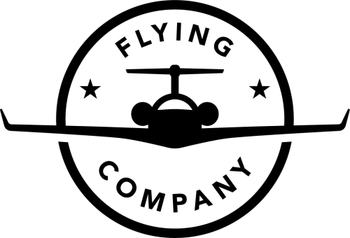 Flying Company icon