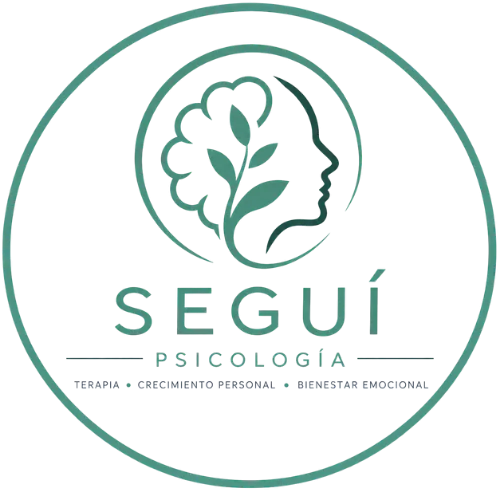 Vicente Seguí Sendra | Psicólogo en Dénia icon