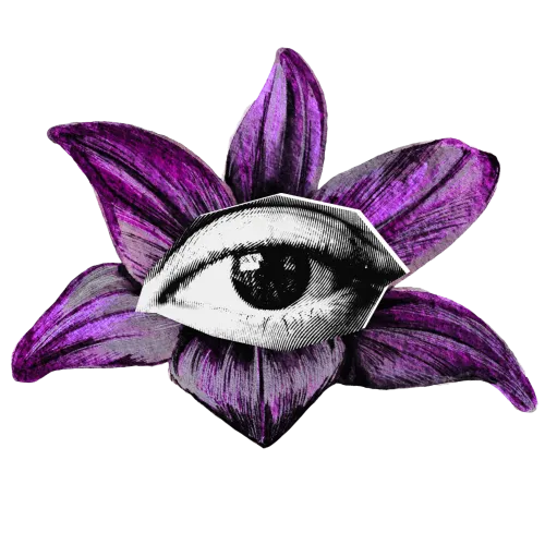 Das Orakel der Neuzeit icon