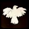 Notes from the End of the World icon