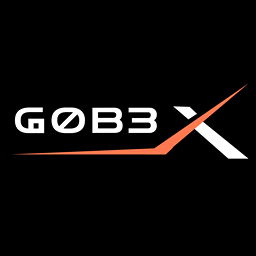 G0B3X Telematics icon