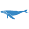belginux - self-hosting, Docker & Linux icon