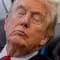 Is Donald Trump Alive? icon