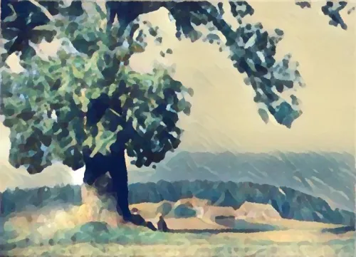 Moss og Omegn Tenkepark icon