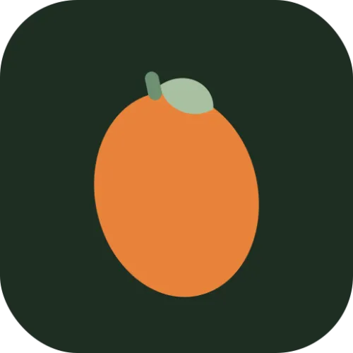 MangoCode icon