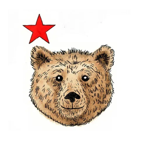 Data and Politics icon