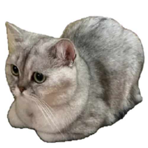 yoroff icon