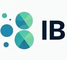 IB Data icon