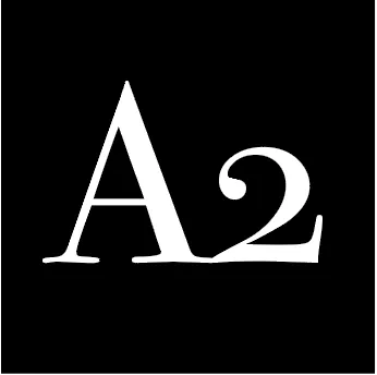 America 2.0 icon