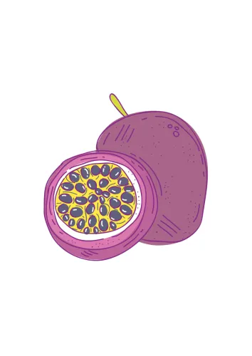 The Passion Project Org icon