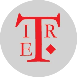 The Imaginary Engine Review icon