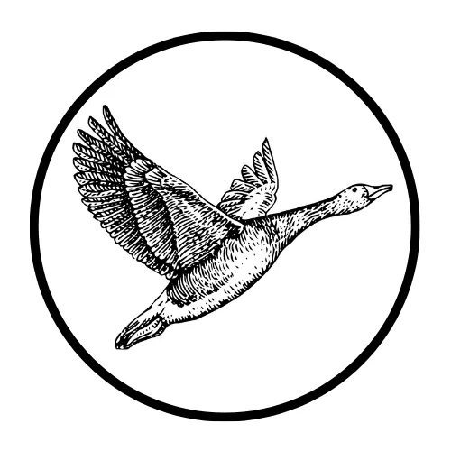 Khaled Goose icon