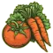 Ravina Community Garden icon