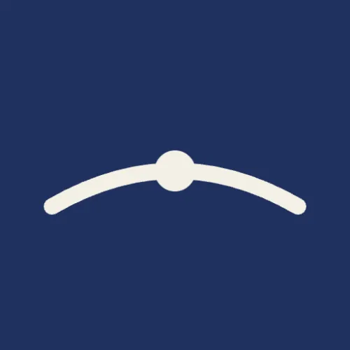 Long Arc News icon