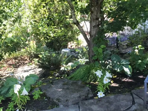 Rebecca's Voice icon