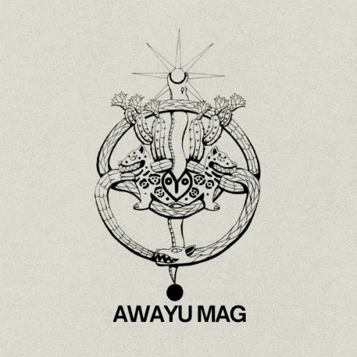 AWAYU MAG icon