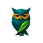 STRIX DOCTUS icon
