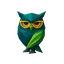 STRIX DOCTUS icon