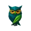 STRIX DOCTUS icon