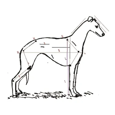 The Whippet icon