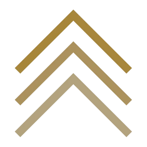 CIMA Risk icon