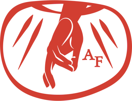 Analogos Foundation icon