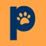 petolo ES staging icon