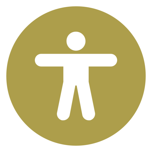 Libro Accesible icon