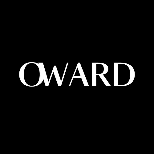 Le Blog de Oward - Réseau de cinéastes et sociétés icon