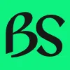 BS100 icon
