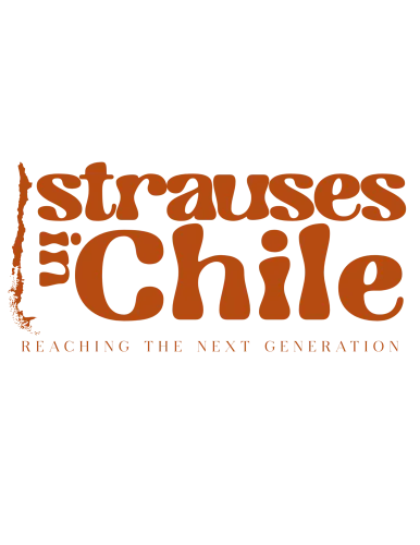 Strauses In Chile icon